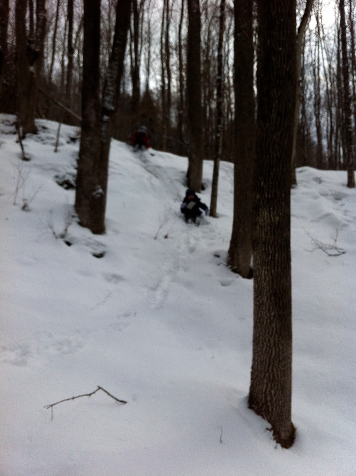 North Branch Nature Center Forest School, in the winter