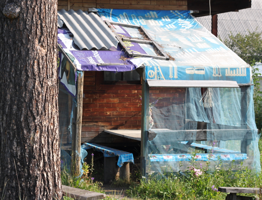 Siberian Life: Dacha