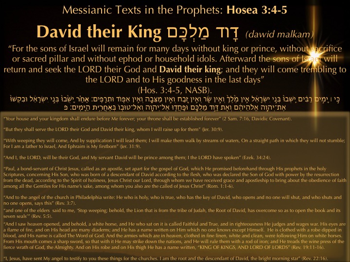 Praying through the Prophets: Hosea