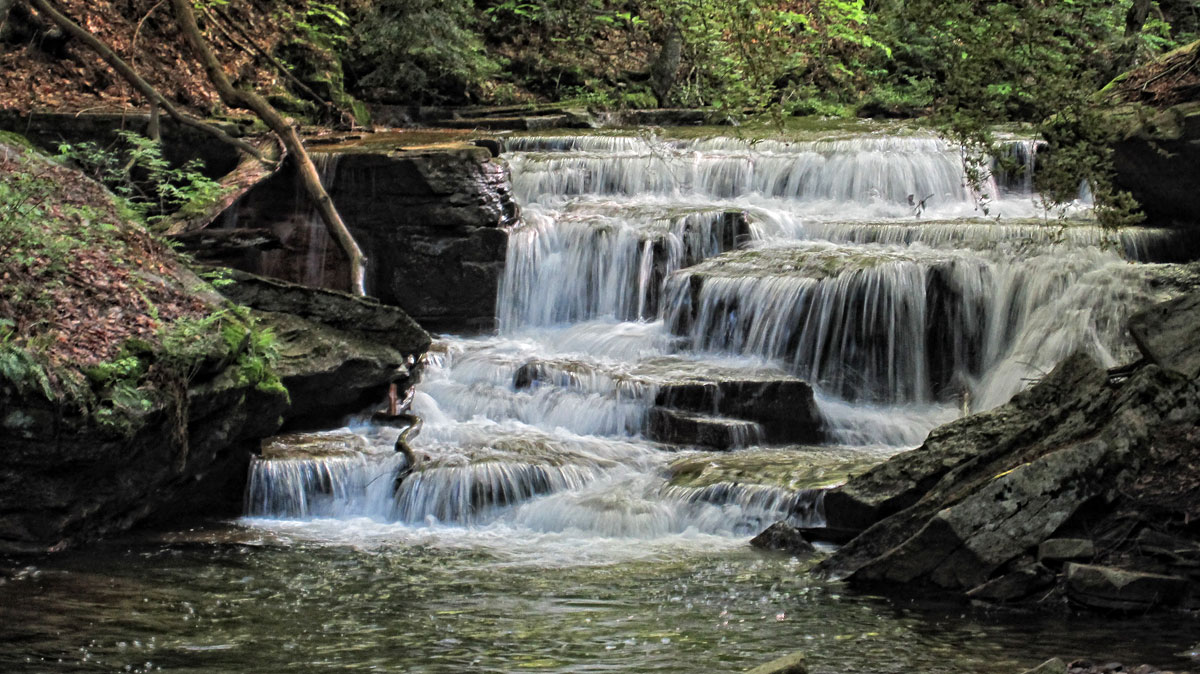Old Man Jabomano Spring Creek And Pigeon Run