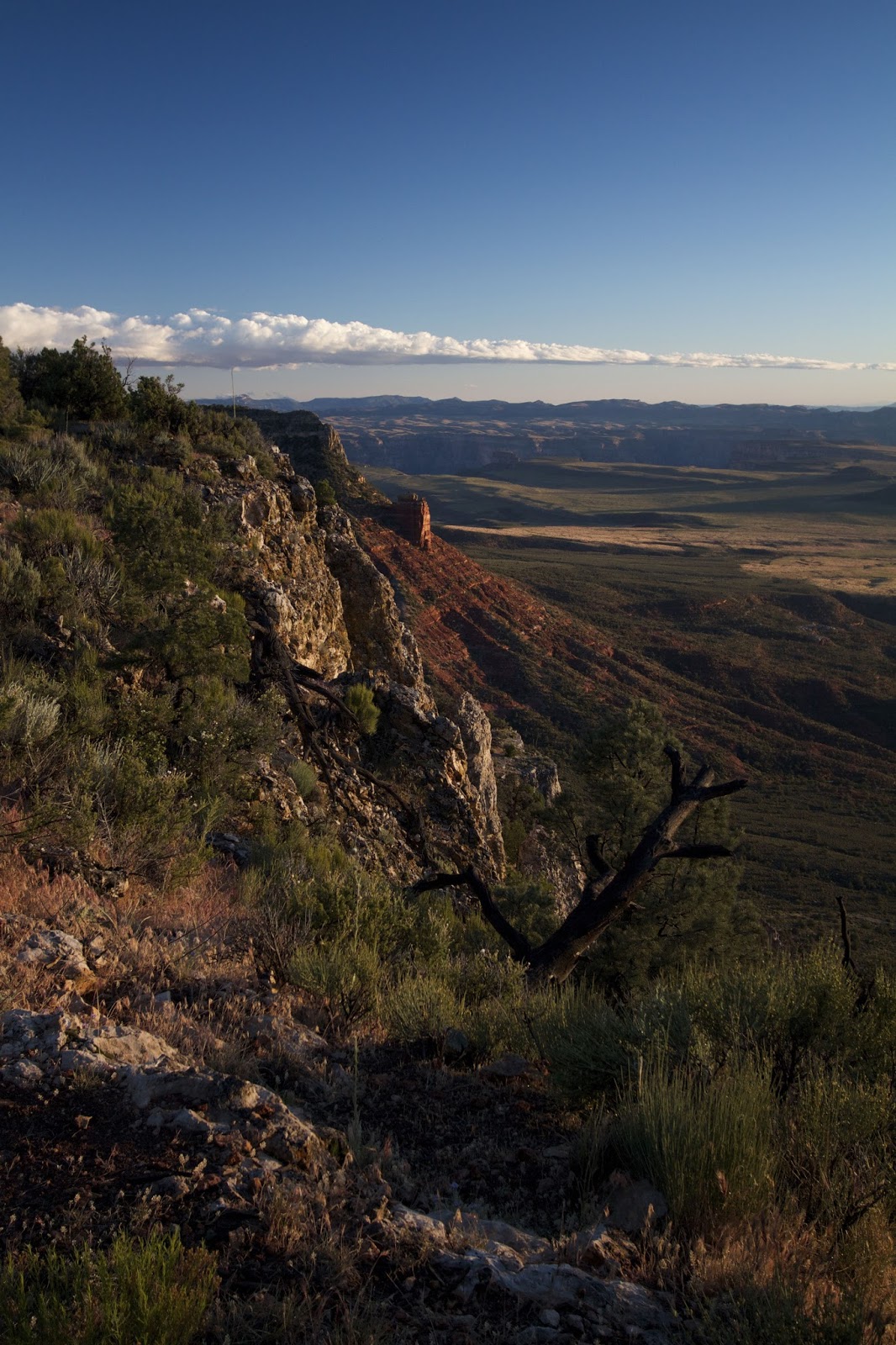 Running From Moose The Arizona Strip Snap Point