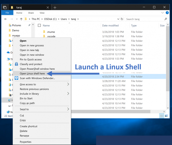 Ubuntu-shell-linux-windows-10