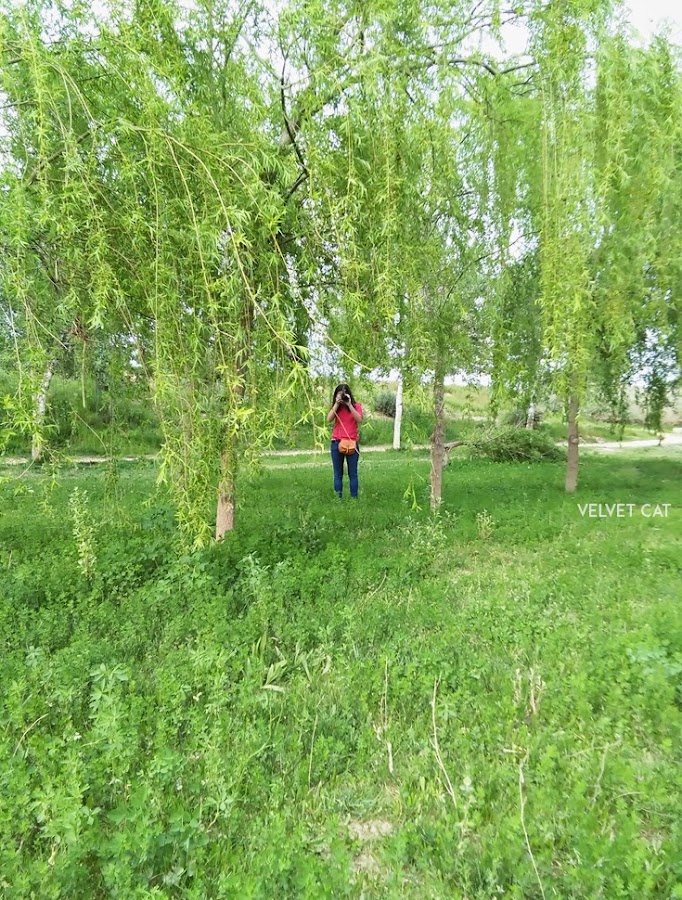 Hoy compartimos verde fotografía