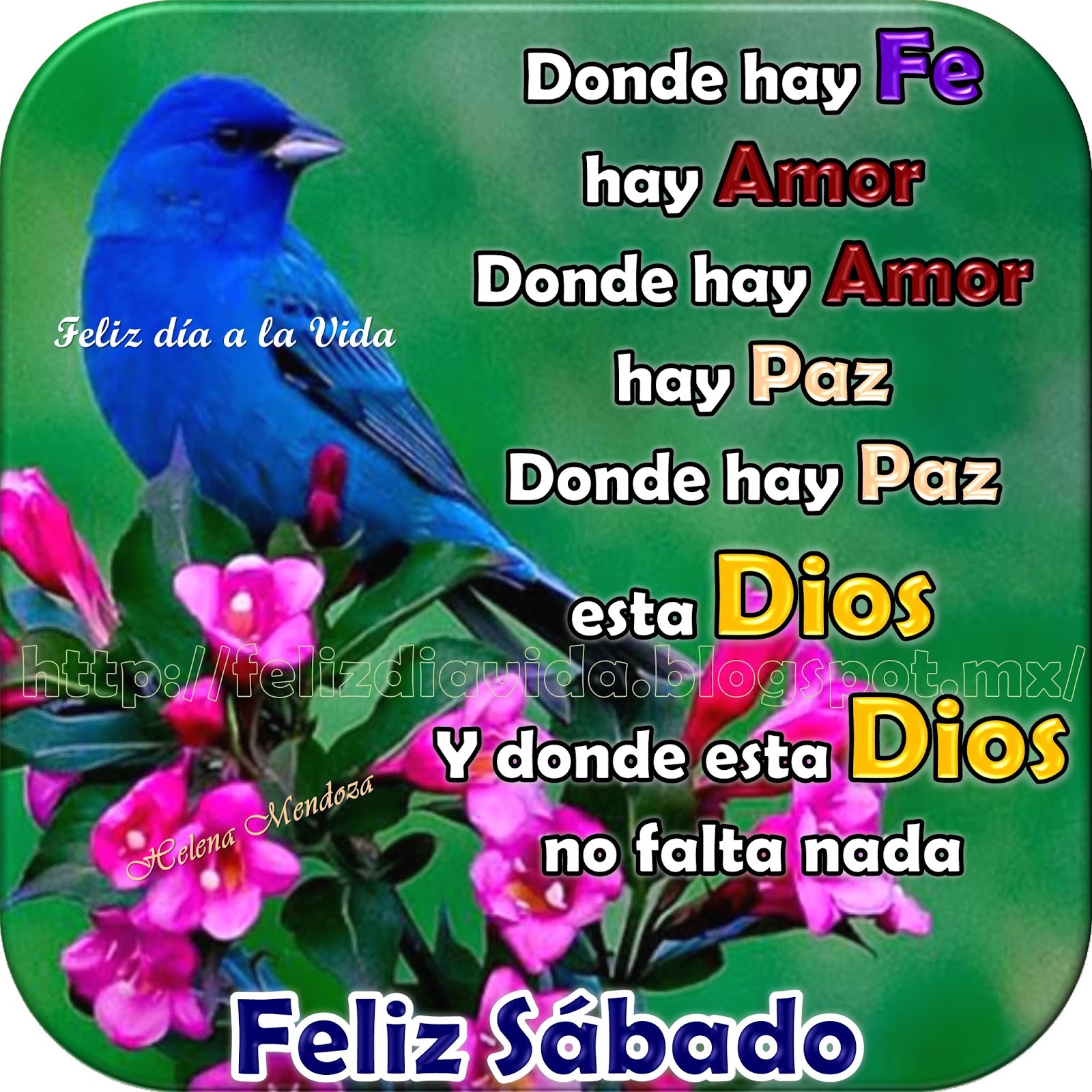 Imagen relacionada