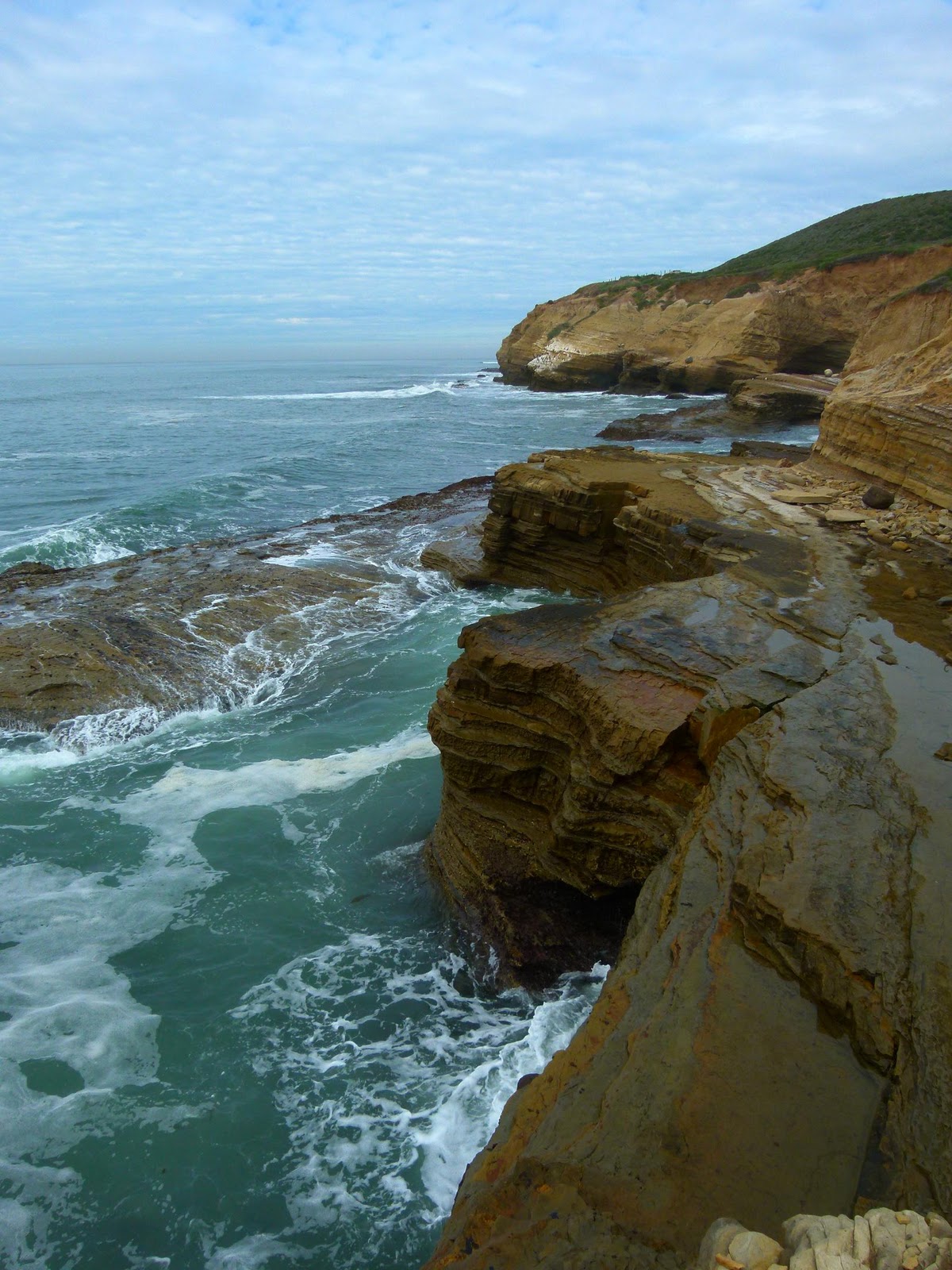 Here and There Cabrillo Tide Pools