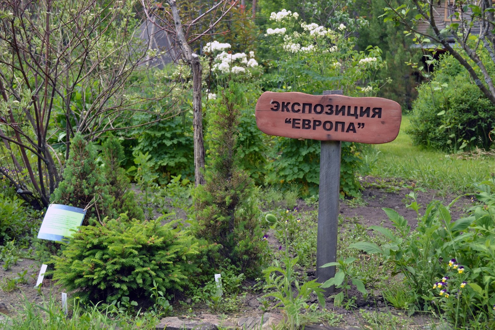 Горно-Алтайский Ботанический сад экскурсии