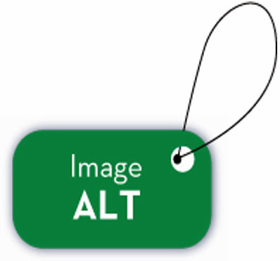Add Alt Tag For Images