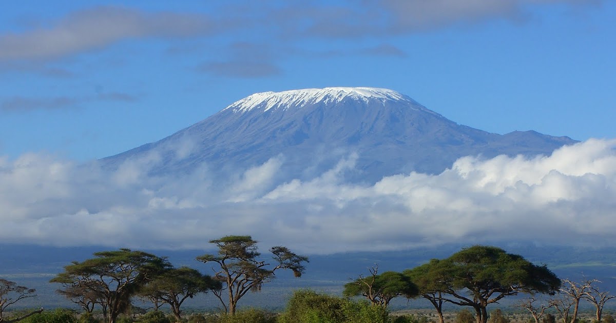 Tout Va Bien Sur Le Kilimandjaro Résumé C'est sur Terre: Kilimandjaro (Tanzanie)