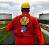 Shell’s oil spill polluted over 113 hectares in Bayelsa – Report
