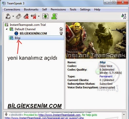 Teamspeak 3 Server Kurma Nasil Yapilir Detayli Rehber