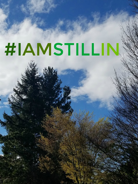 #Iamstillin how to support the paris agreement and decrease your household emissions 