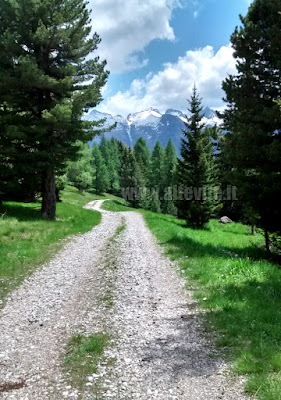 MTB Alpe Lusia - Pale di San Martino - Dolomiti