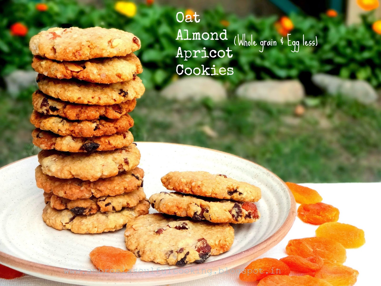 Oat Almond and Apricot Cookies Whole grain and Egg less Ambrosia