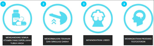 Obat Kuat Ampuh Mengatasi Ejakulasi Dini Hammer Of Thor Obat Kuat Ampuh Mengatasi Ejakulasi Dini Hammer Of Thor