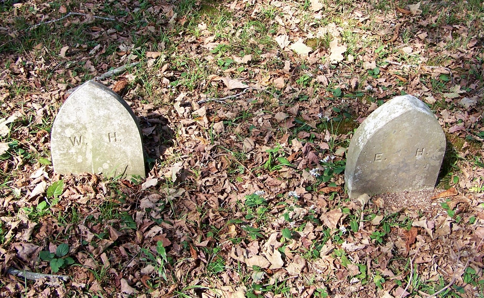 Southern Ct Paranormal Society Town of Ledyard Histotic Cemetery