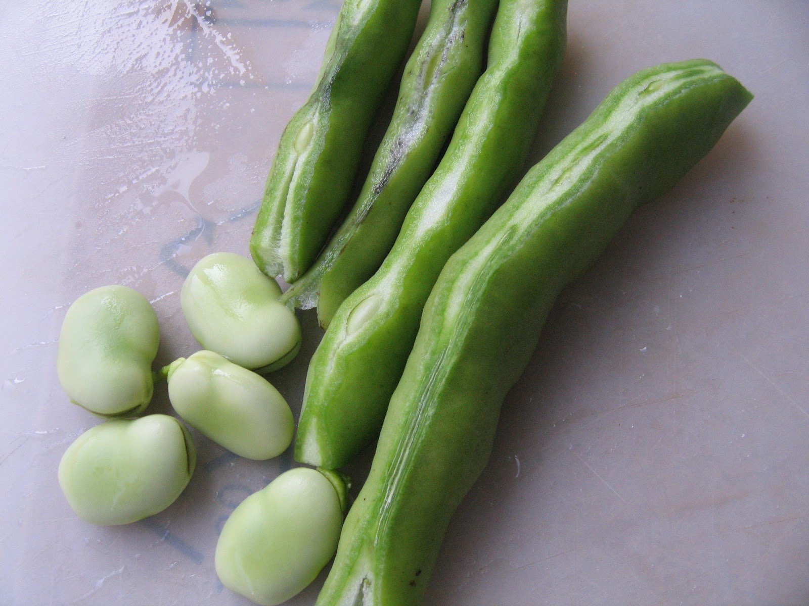 Yasemin's Kitchen Fava Beans in Olive Oil Zeytinyagli Bakla