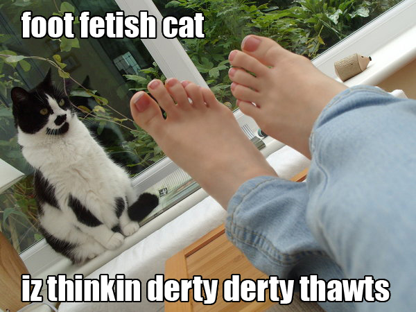 Cat Foot Fetish 2