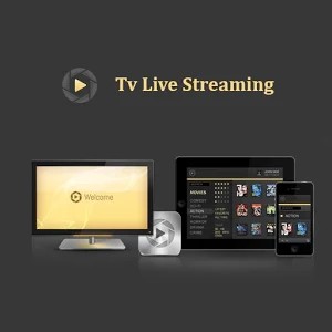 تطبيق Tv Live Streaming لمتابعة قنوات BeinSport HD مجانا, افضل التطبيقات لمشاهدة قنوات بين سبورت وباقة mbc, تحميل  Tv Live Streaming,  قنوات بين سبورت