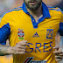 Tigres, los mejores de México