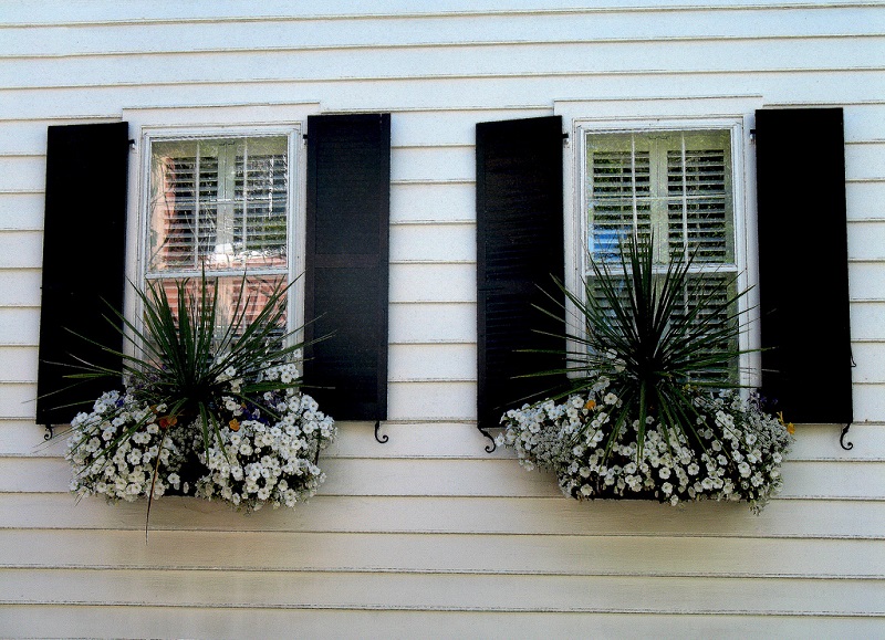 Custom Window Shutters