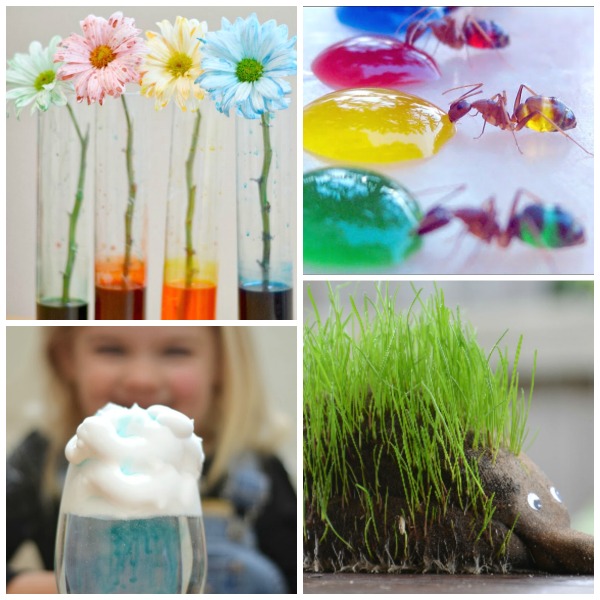 SPRING SCIENCE FOR KIDS- 30 FUN ACTIVITIES! #scienceexperimentskids #sciencefairprojects #springscienceactivities #springscienceexperimentsforkids #sciencefairprojectselementary #scienceforkids #scienceexperiments #springactivitiesforkids #springcraftsforkids #springactivities #springcrafts #activitiesforkids #craftsforkids #kidsactivities