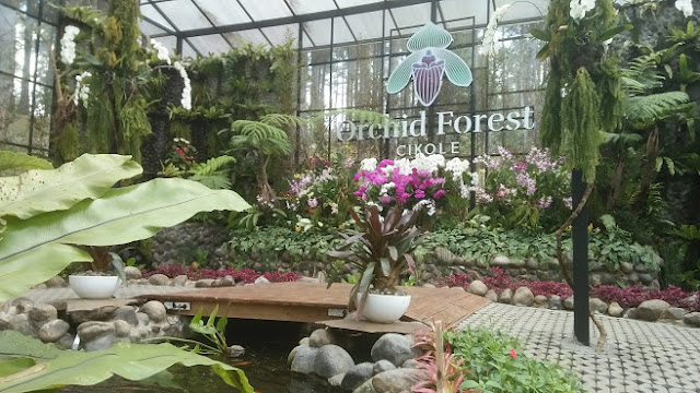 orchid forest cikole lembang