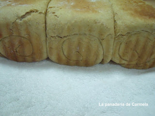 panmoldethermo10.jpg
