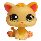 Littlest Pet Shop Multi Pack Kitten (#1649) Pet