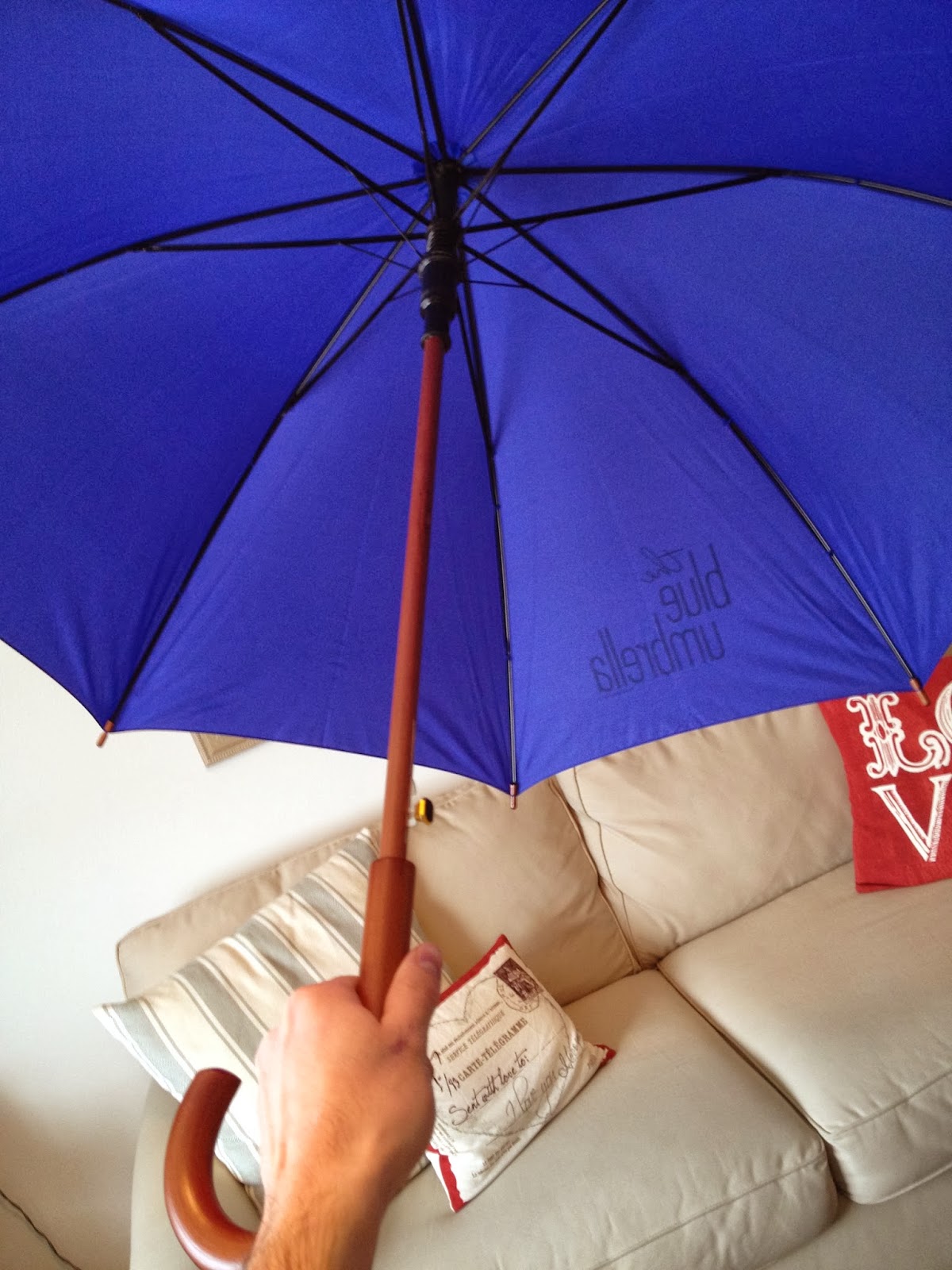Dan the Pixar Fan The Blue Umbrella Umbrella Replica (Pixar Studio Store)