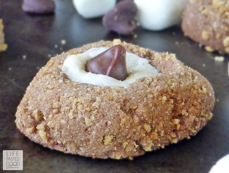 S'more Cookie Recipe | by Life Tastes Good | Fun chocolate cookies rolled in graham cracker crumbs and topped with a mini marshmallow. All the flavors of a traditional s'more rolled into an easy-to-make cookie. No open fire required!
