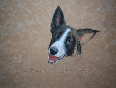 Pet Portraits by Colette Theriault