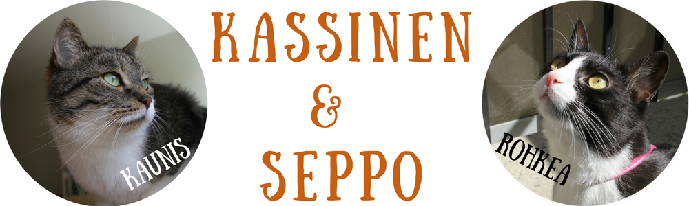 Kassinen ja Seppo