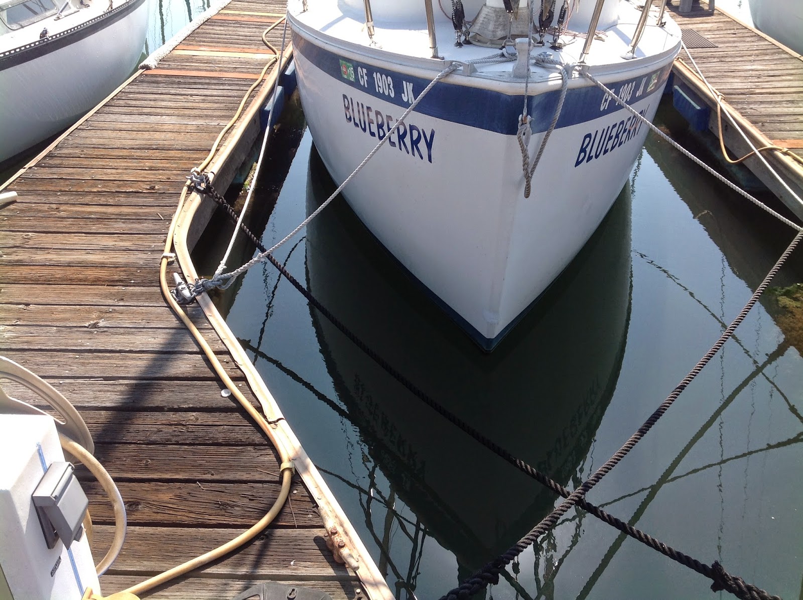 Nonsuch 22 Blueberry Dock slip Cat Catcher and set of eight docklines