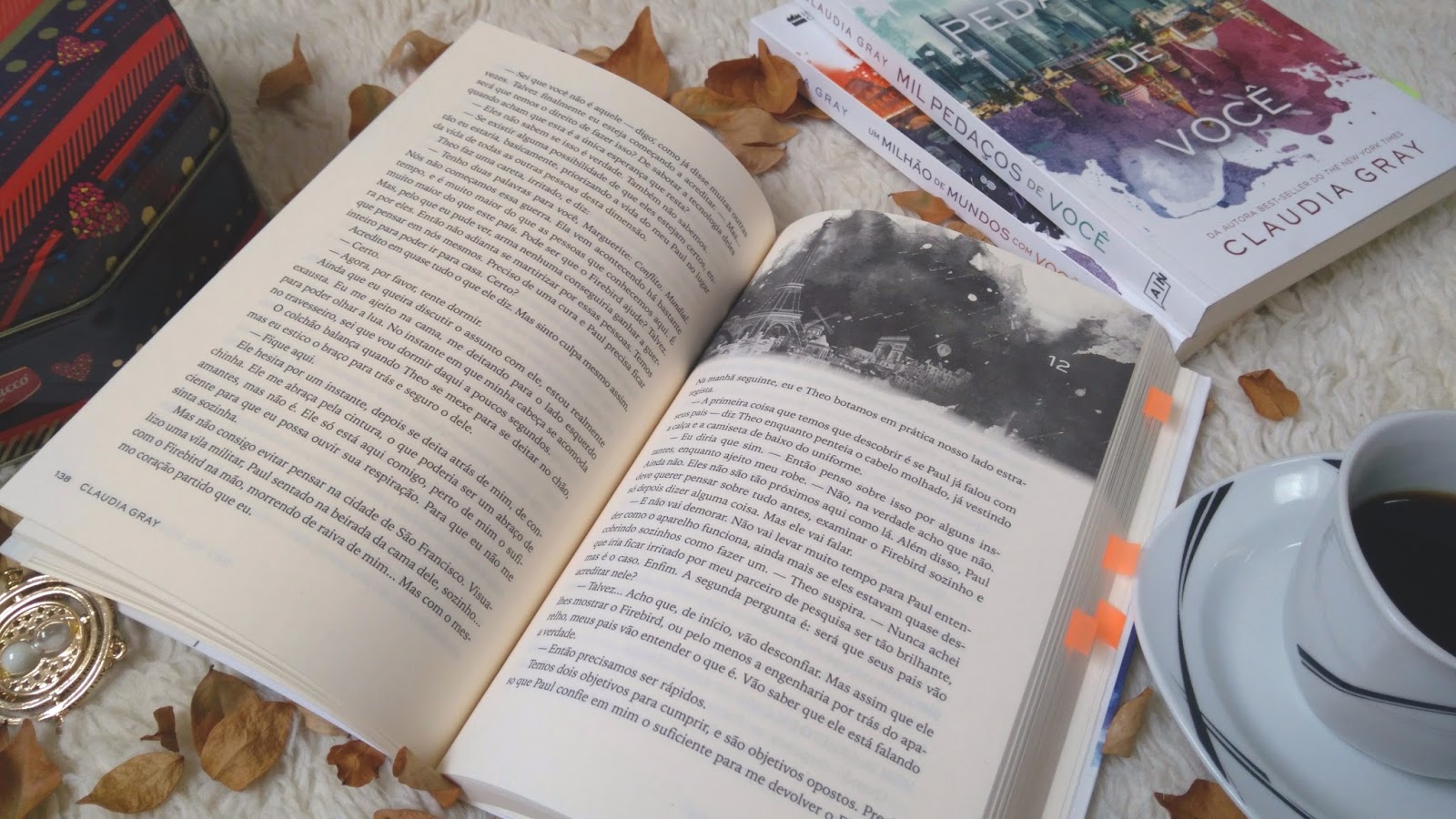 DEZ MIL CĂUS SOBRE VOCĂ - CLĂUDIA GRAY (FIREBIRD #2) Resenha DEZ MIL CĂUS SOBRE VOCĂ - CLĂUDIA GRAY (FIREBIRD #2)