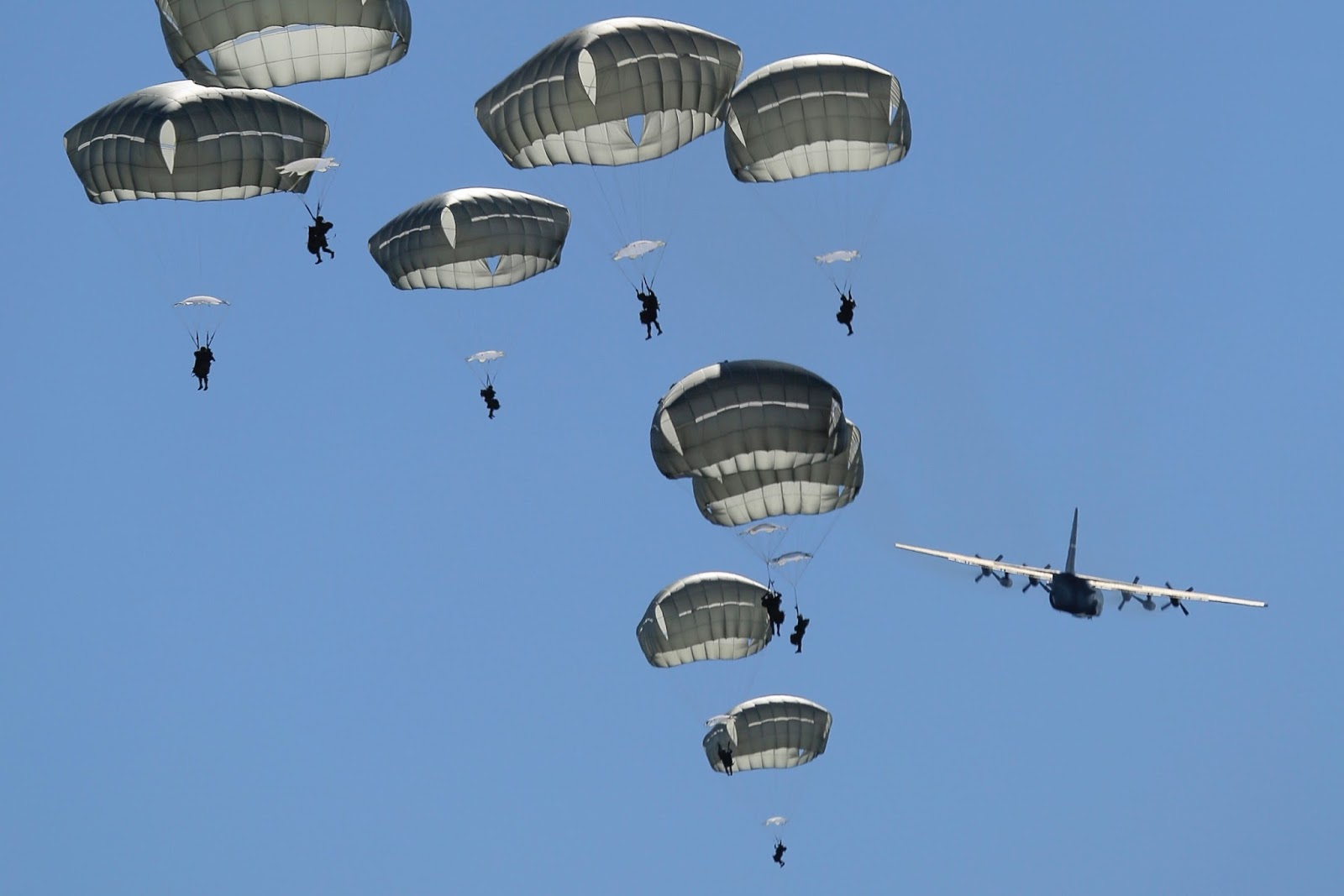 Paratroopers Jumping Out of Lockheed C130 Hercules