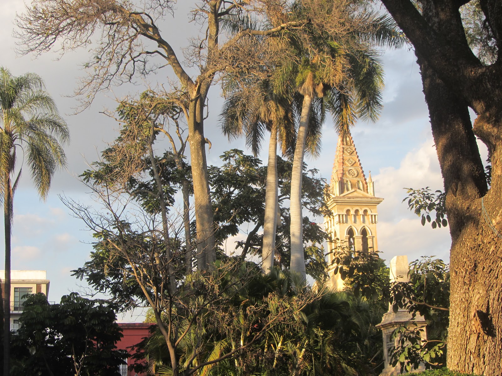 Cuernavaca "The City of Eternal Spring" Week One