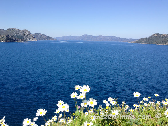 papatyaların yeni yeni açtığı bahar günlerinde lacivert Marmaris denizi ve koyları