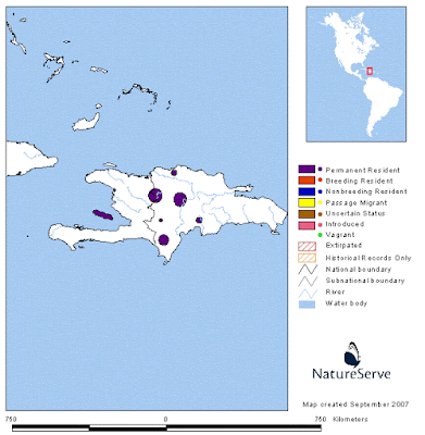 Bay breasted Cuckoo map