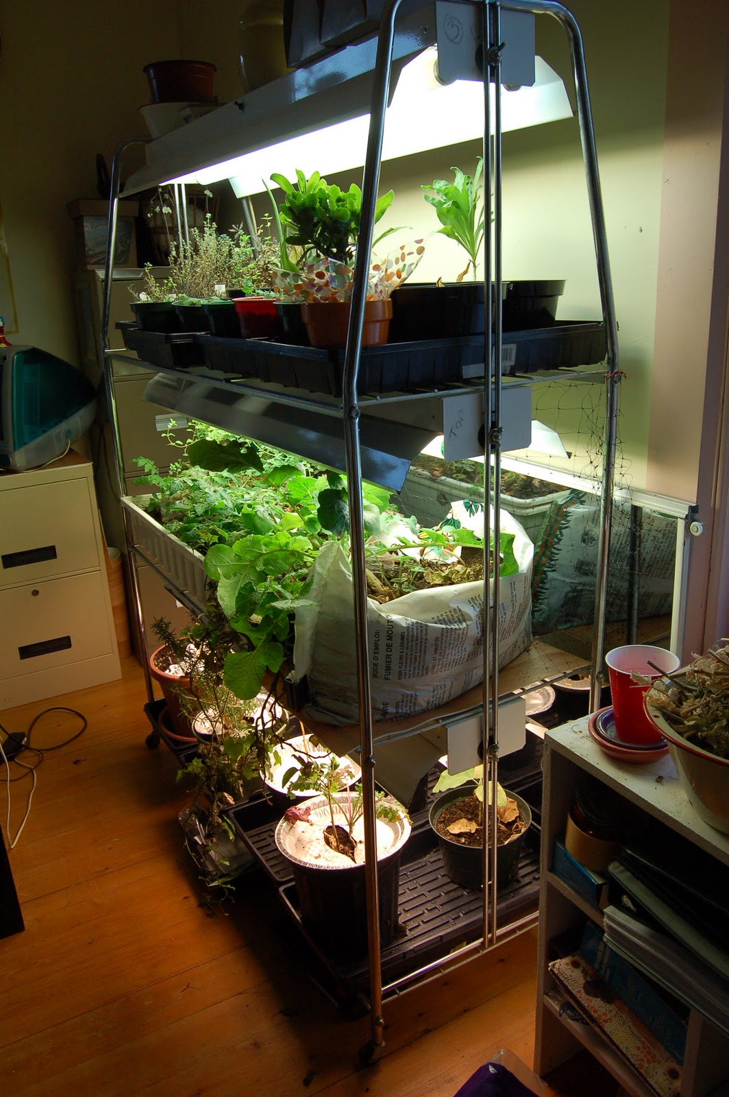 Lampe Pour Potager D Interieur Engrais Floralies Jouvence