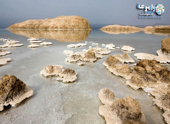 معلومات عن بحيرة عسل