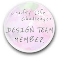 HE SIDO DT CRAFTY LIFE CHALLENGES