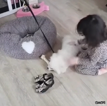 1.gif