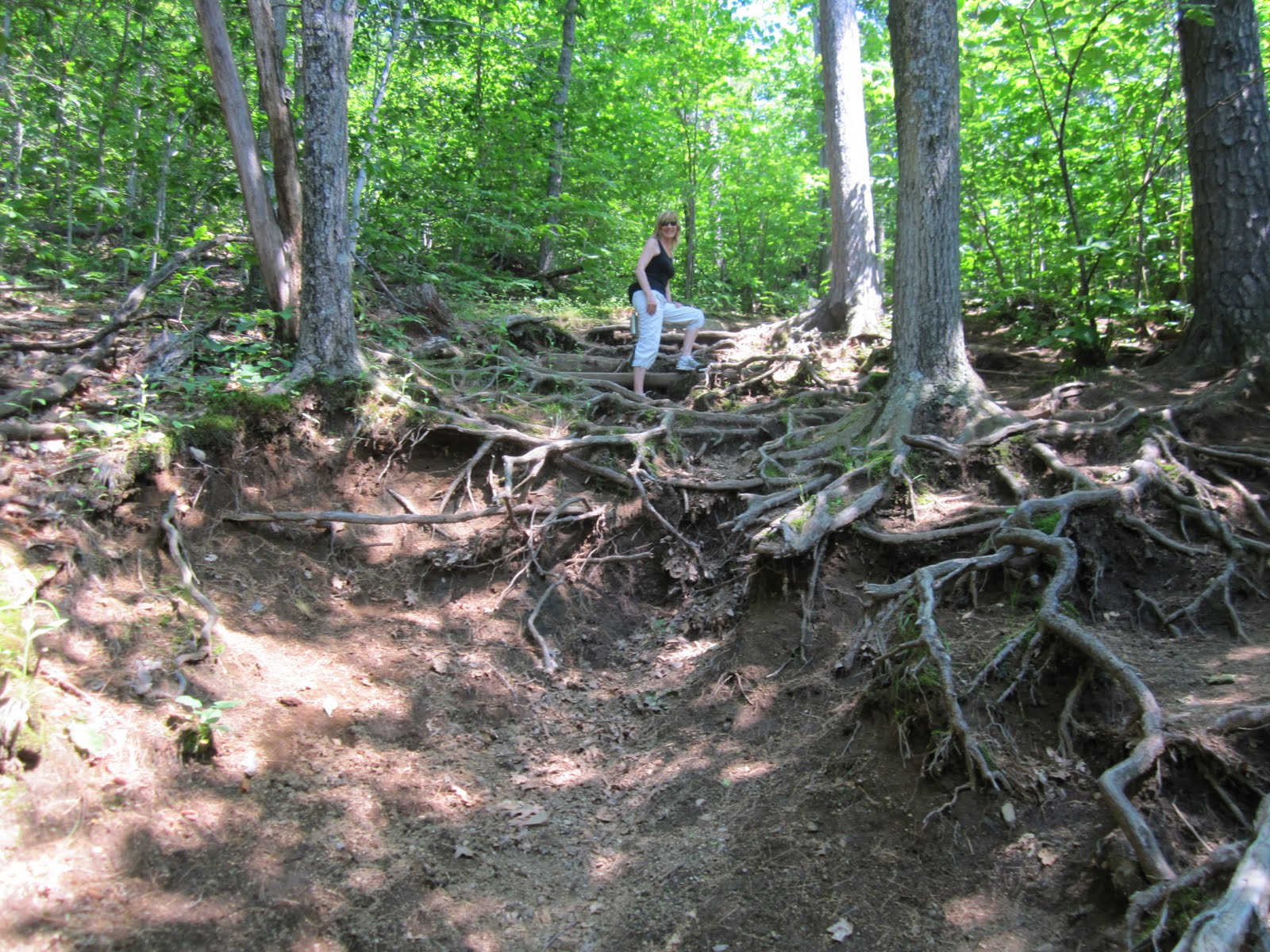 Asthma and the Gift of Running Mont StHilaire...lovely trails!