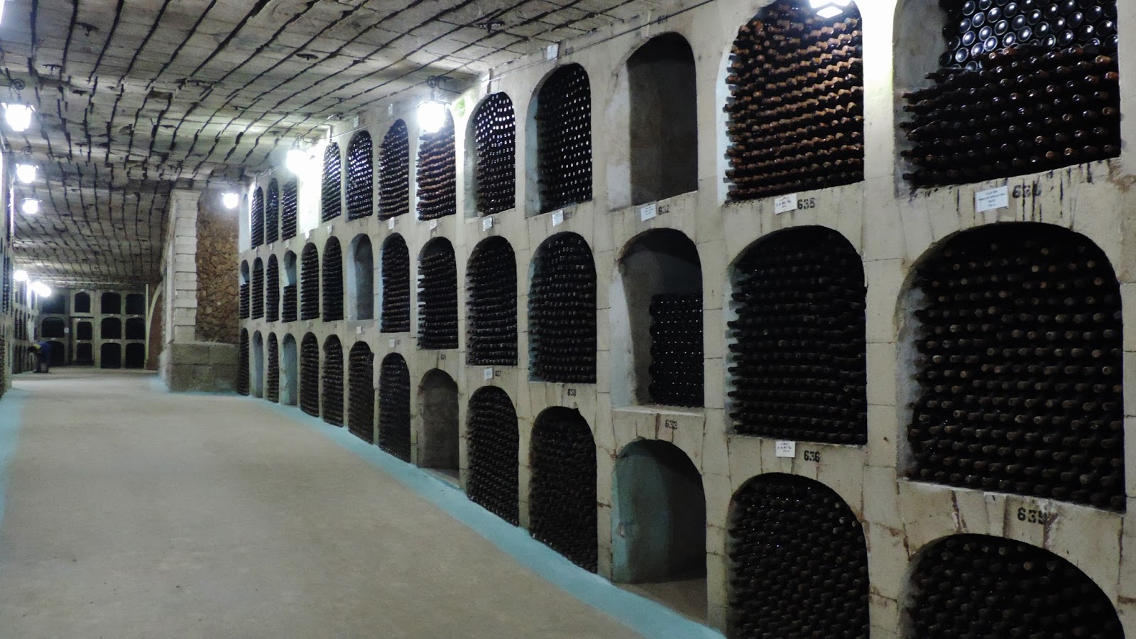 Travel with Kevin and Ruth! The largest wine cellar in the world