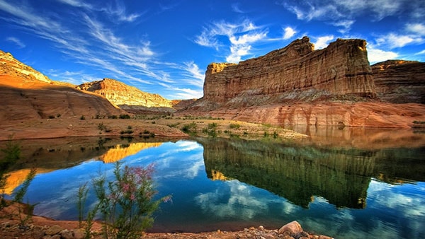 صور عجيبه
