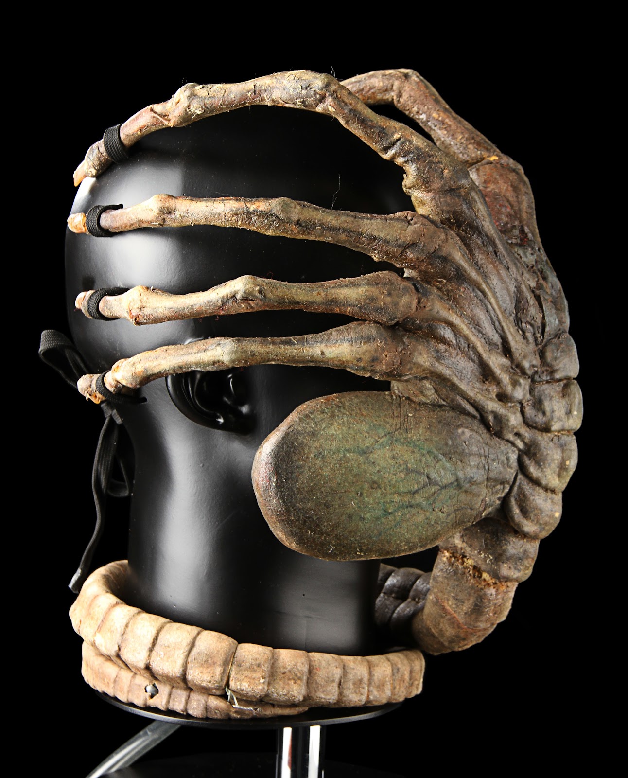 AVP Facehugger . (source. 