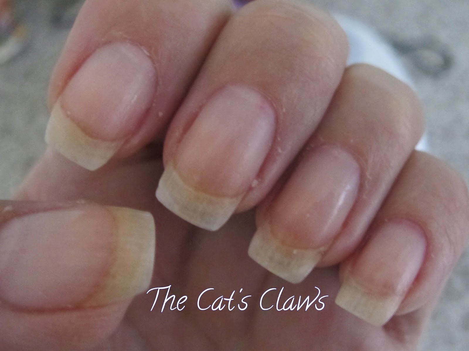 The Cat's Claws: Qutique Gel Nails = Perfection!