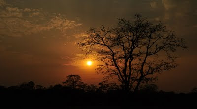Sunset from Buxa - Jainti, Buxa Tiger Reserve, Dooars