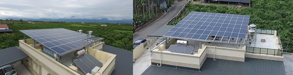 農地型光電大棚下方可種植低日照、或不必日照的作物。