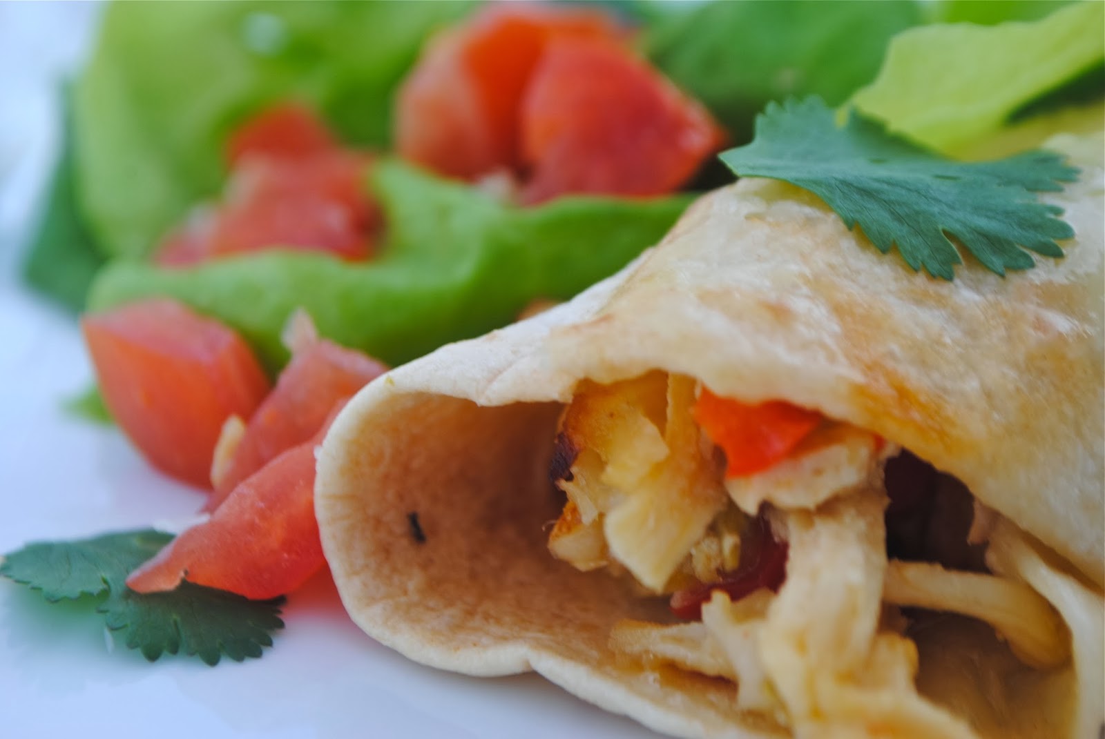 Recipe Doodle CHICKEN ENCHILADAS and FALL CURRY CHICKEN